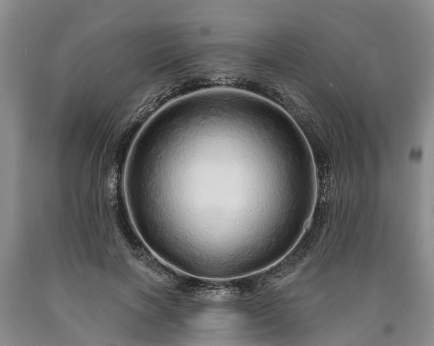 X0000090610646200707241107