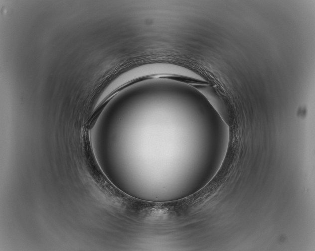 X0000090610647200707241107