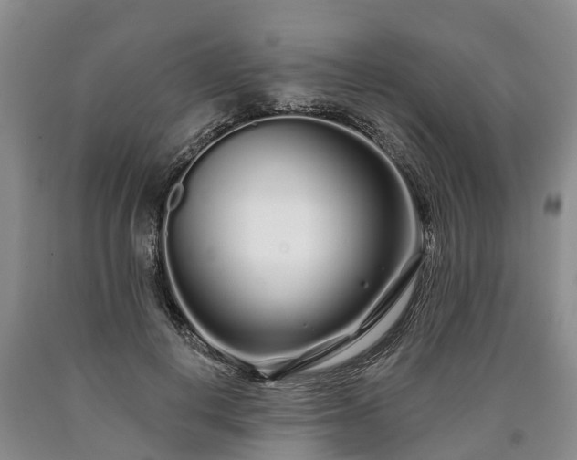 X0000090610648200707241107