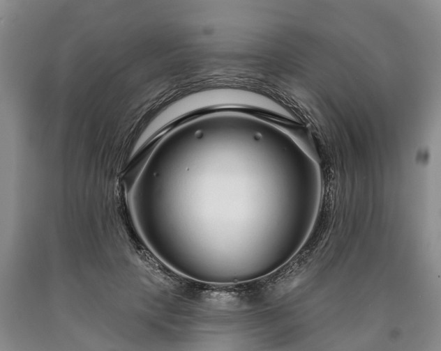 X0000090610649200707241107