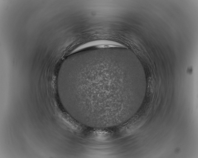 X0000090610650200707241107