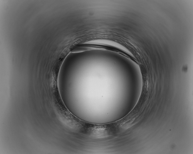 X0000090610651200707241107