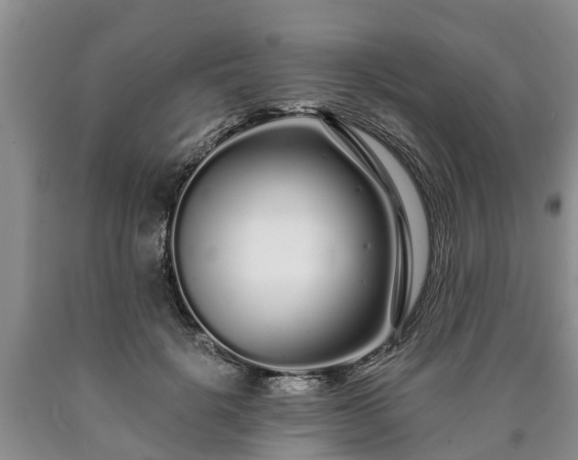 X0000090610652200707241107