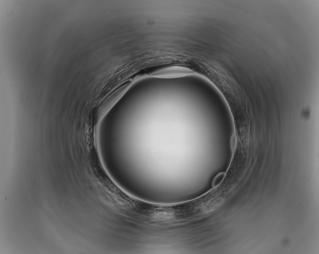 X0000090610653200707241107