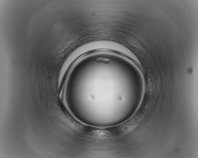 X0000090610654200707241107