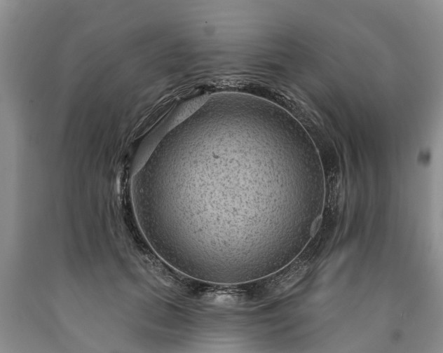 X0000090610655200707241107