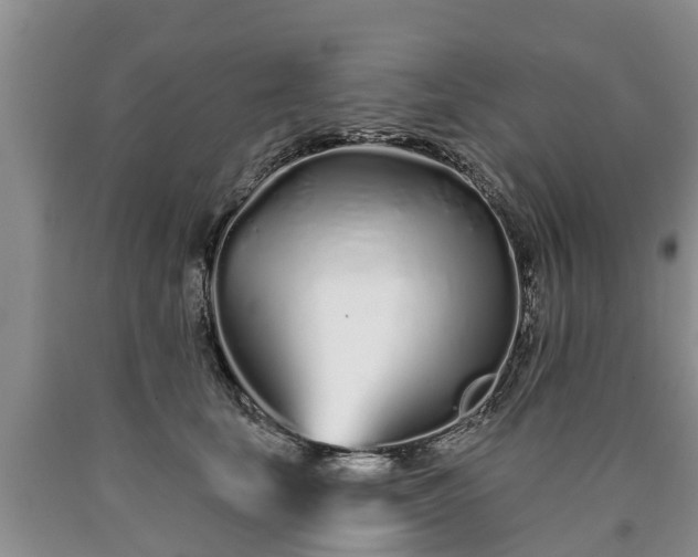 X0000090610659200707241108