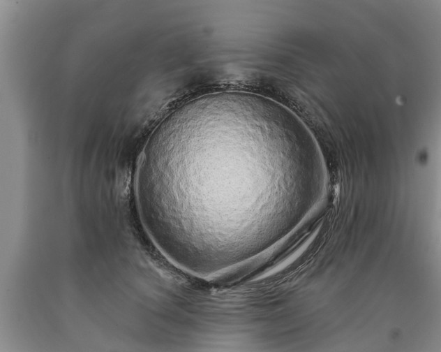 X0000090610660200707241108