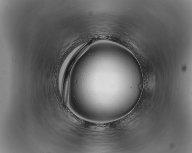 X0000090610661200707241108