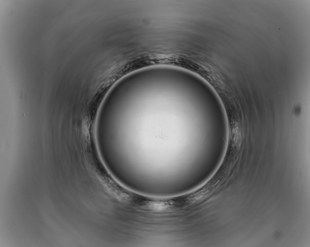 X0000090610662200707241108