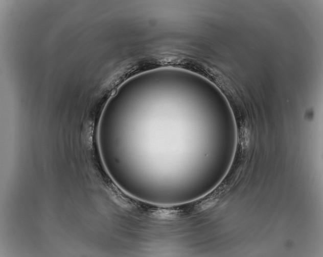 X0000090610664200707241108