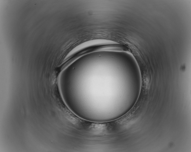 X0000090610665200707241108