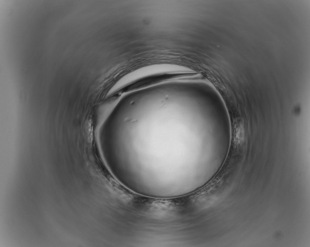 X0000090610666200707241108