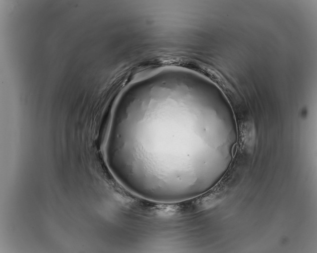 X0000090610667200707241108