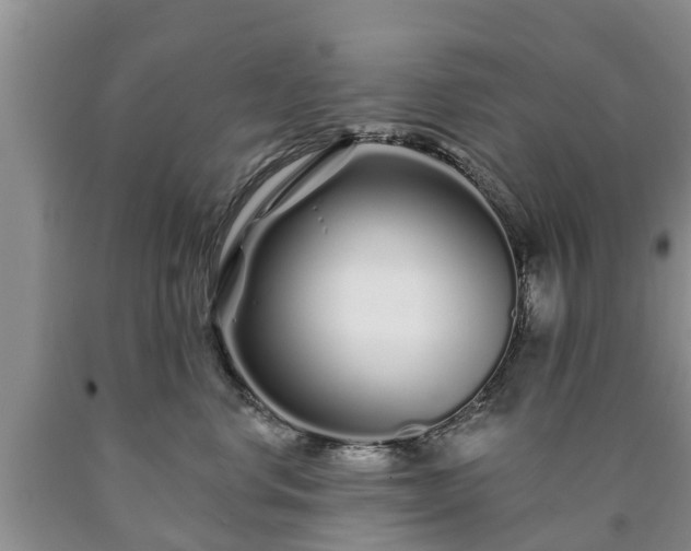 X0000090610668200707241108