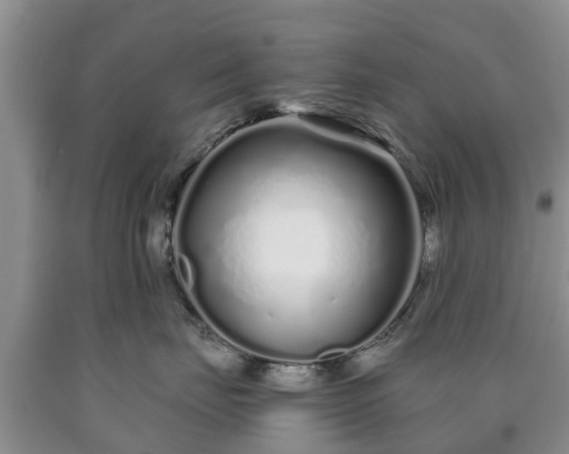 X0000090610671200707241108