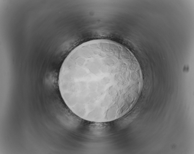 X0000090610672200707241108