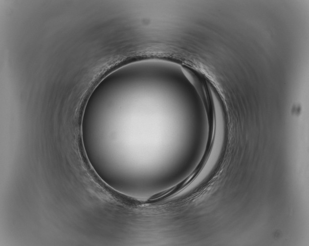 X0000090610673200707241107