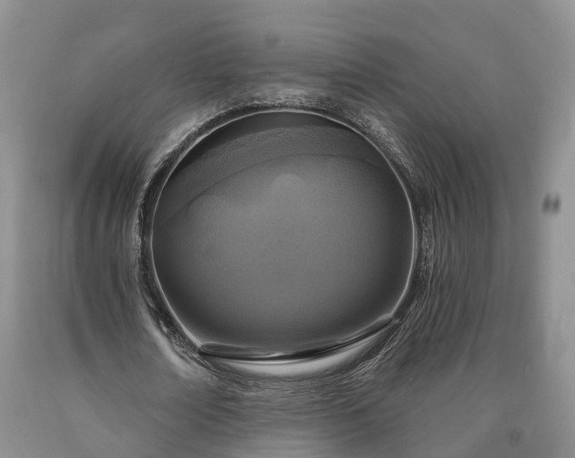 X0000090610674200707241107