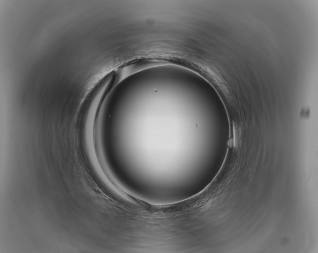 X0000090610675200707241107