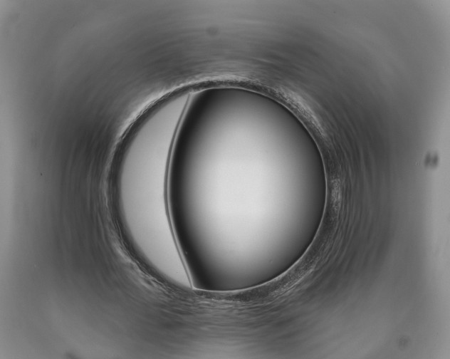 X0000090610676200707241107