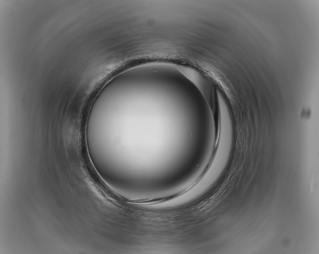 X0000090610677200707241107