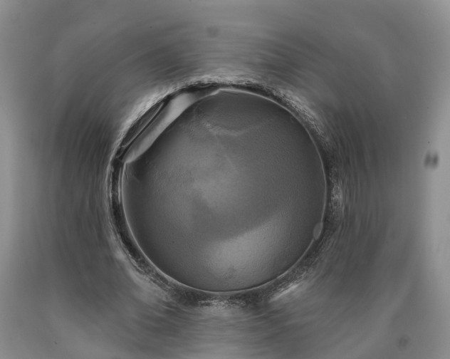 X0000090610678200707241107