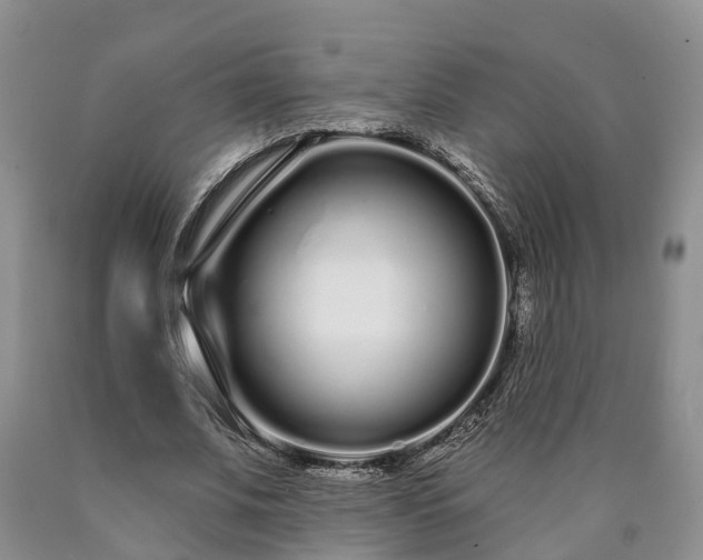 X0000090610679200707241107