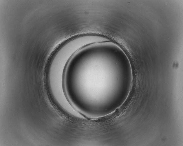 X0000090610680200707241107