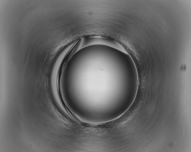 X0000090610681200707241107