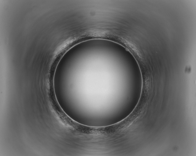 X0000090610682200707241107