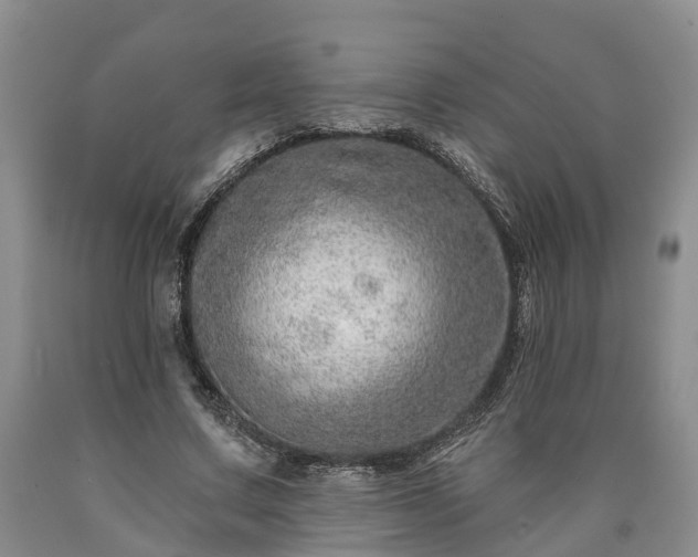 X0000090610683200707241107