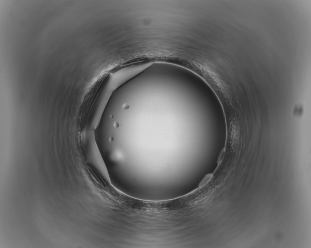 X0000090610684200707241107