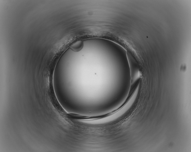 X0000090610685200707241107