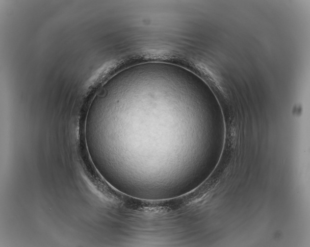 X0000090610686200707241107