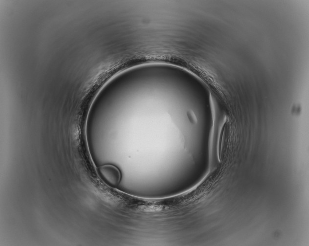 X0000090610687200707241107