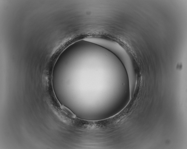 X0000090610688200707241107