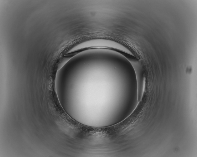 X0000090610689200707241107