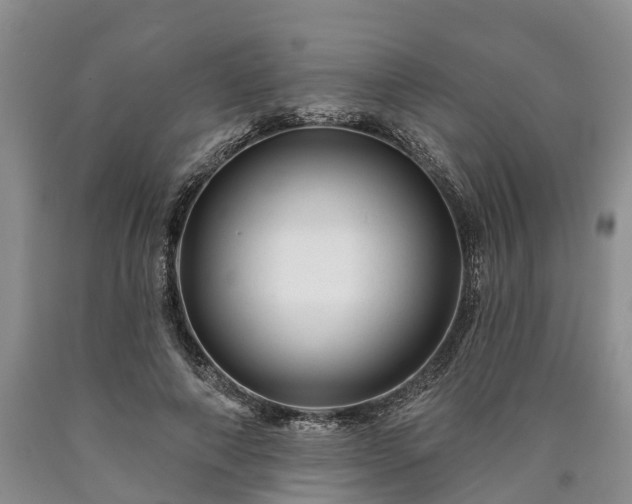 X0000090610690200707241107