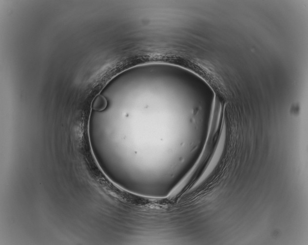 X0000090610691200707241107