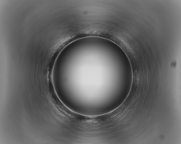 X0000090610692200707241107