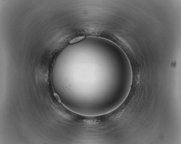 X0000090610693200707241107