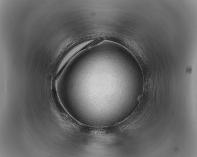 X0000090610694200707241107