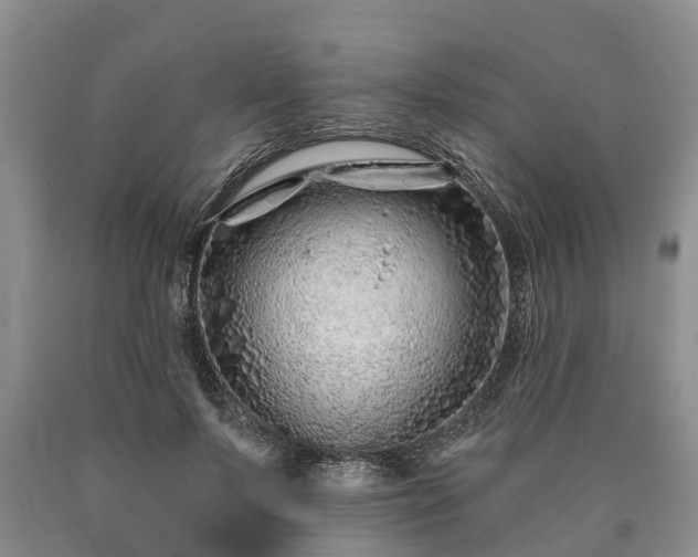 X0000090610695200707241107