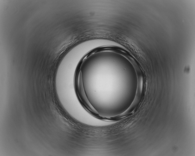 X0000090610696200707241107