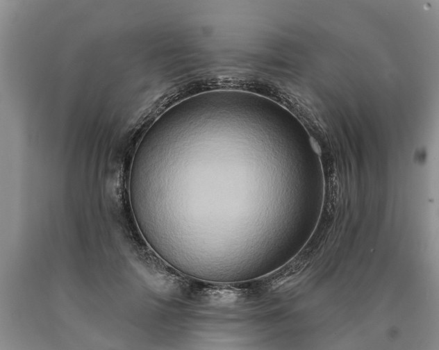 X0000090610698200707241107