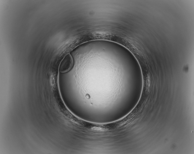 X0000090610699200707241107