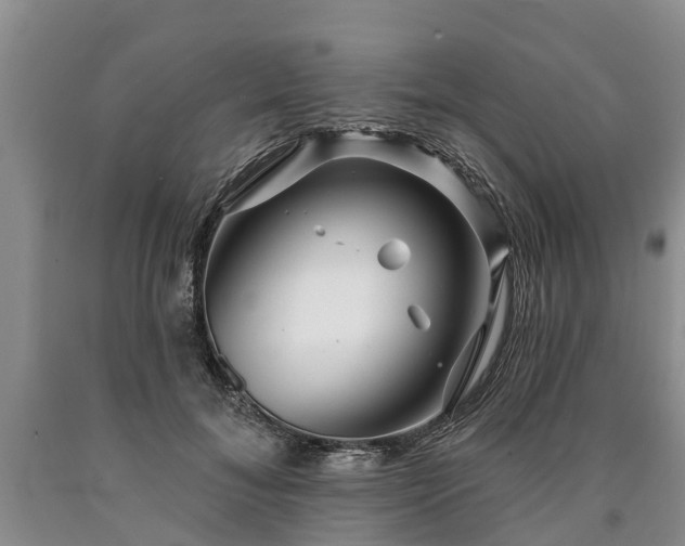 X0000090610700200707241107