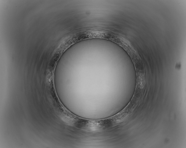 X0000090610701200707241107