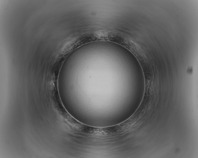 X0000090610702200707241107